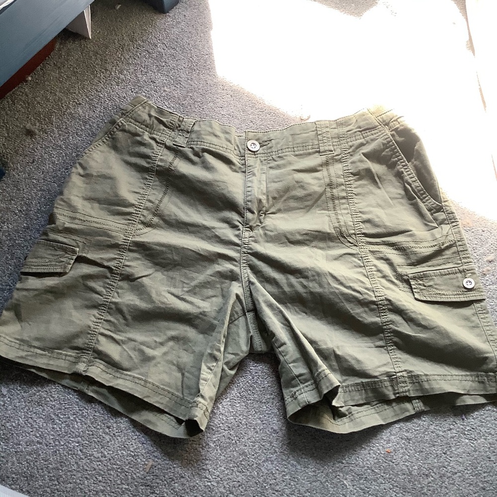 Green style & co shorts